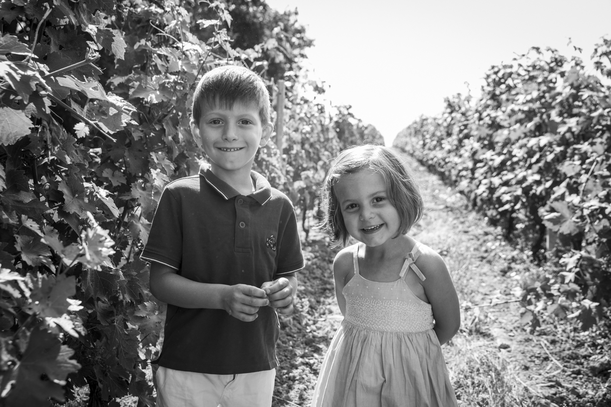 Photos de famille dans les vignes – Faye D’Anjou